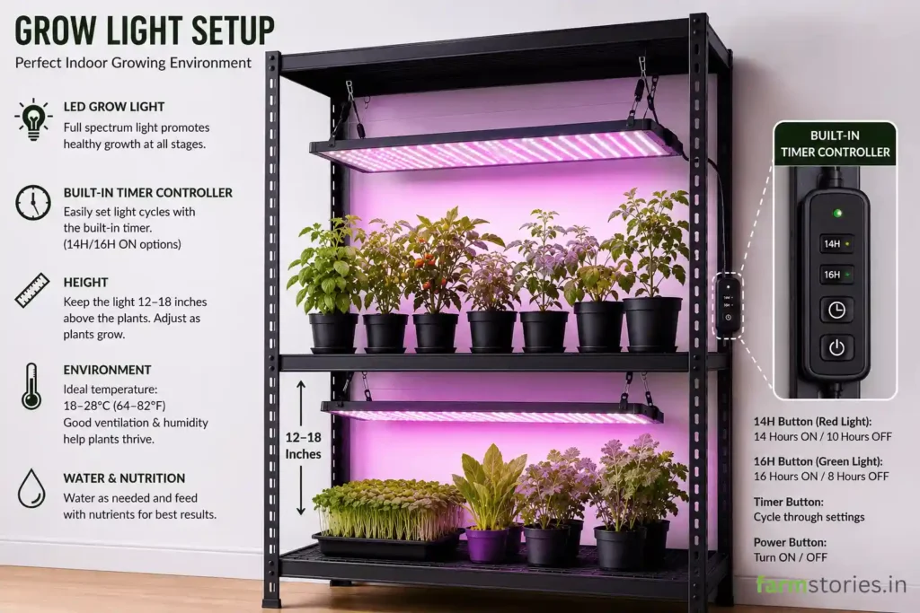 Choosing the Right Grow Lights for Plants: A Beginner's Guide for Indoor Indian Gardening