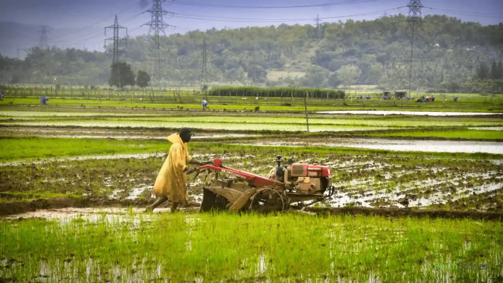 IMD Monsoon Forecast for Farmers