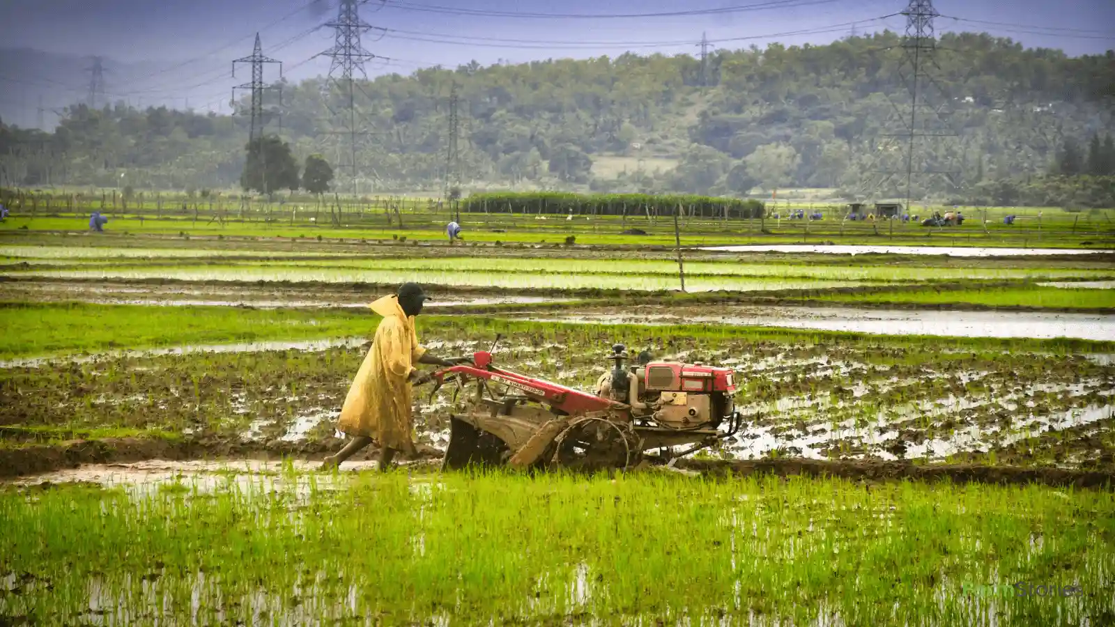 IMD Monsoon Forecast for Farmers