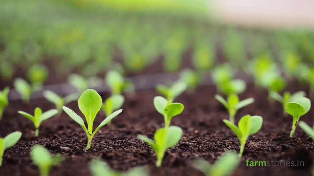 Improve Soil Health in 15 Days A Practical Guide