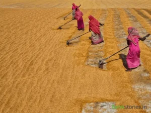 Krishi Sakhi Program Empowering Women in India's Green Future