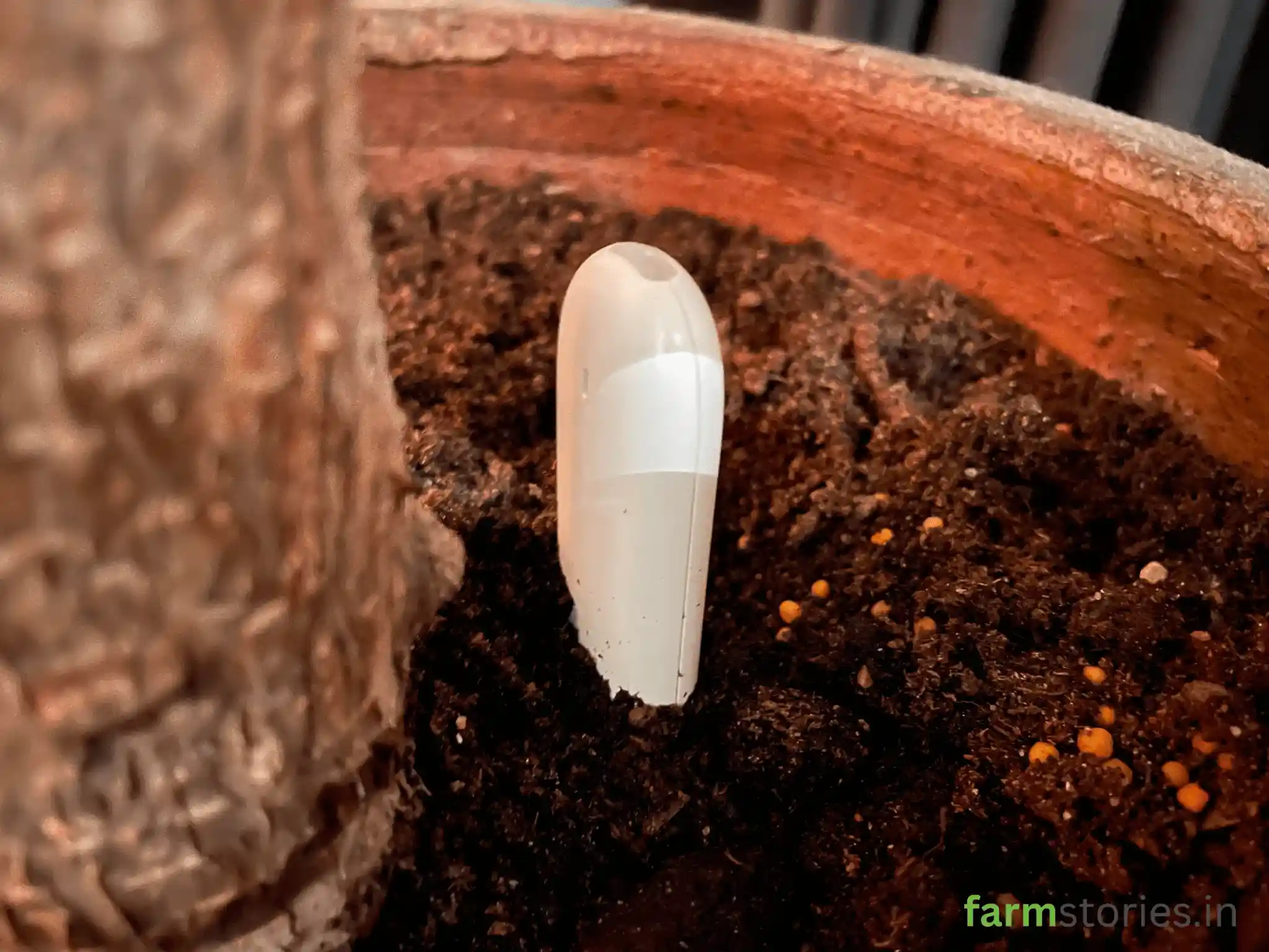 Smart Soil Sensors for Home Gardening Learn how digital moisture and nutrient meters prevent over-watering in your balcony garden.