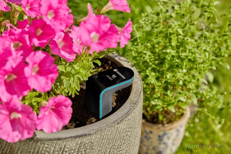 Smart Soil Sensors for Home Gardening Learn how digital moisture and nutrient meters prevent over-watering in your balcony garden.