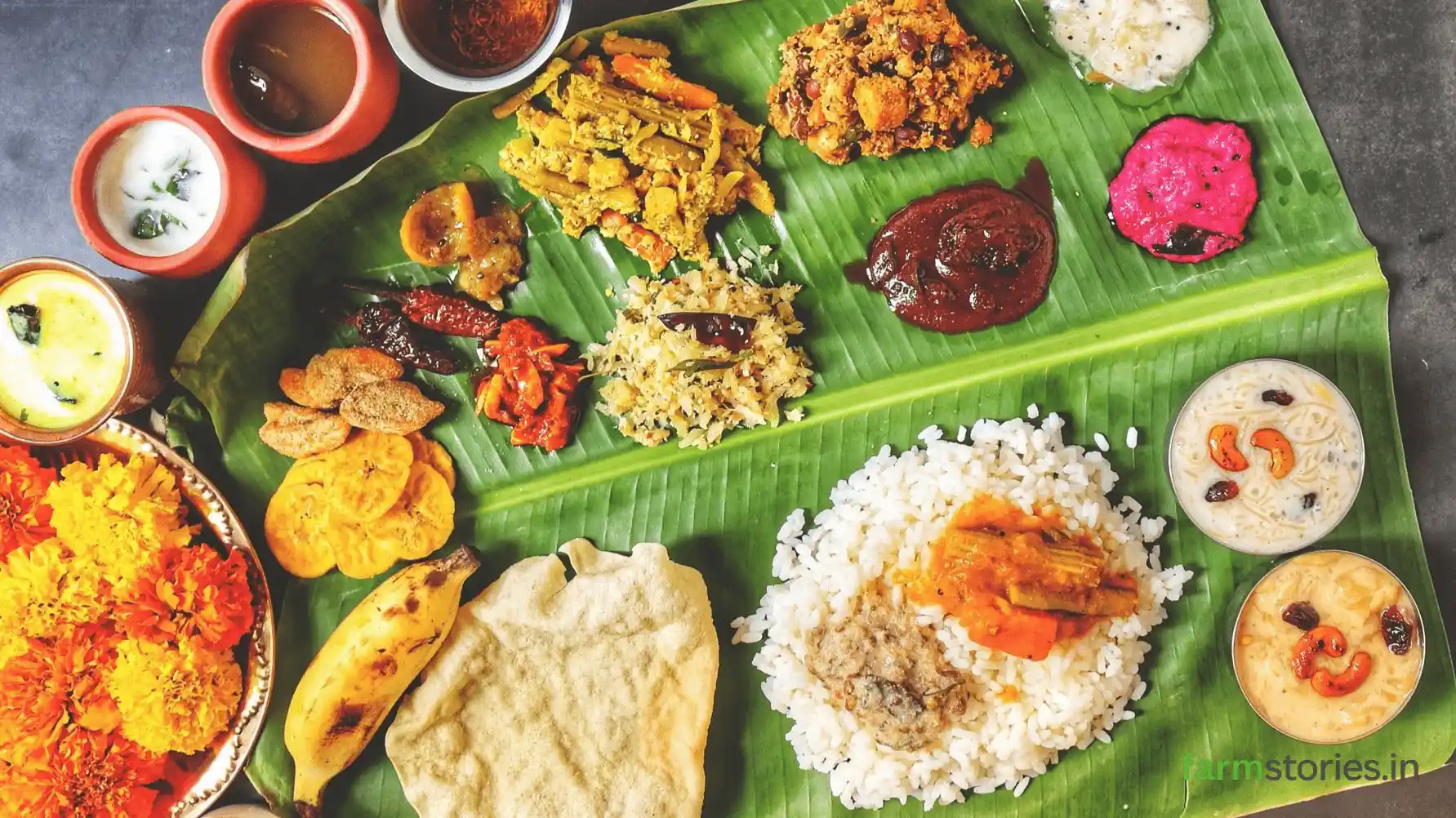 Vegetables to Plant in July for Onam: 6 Easy Picks