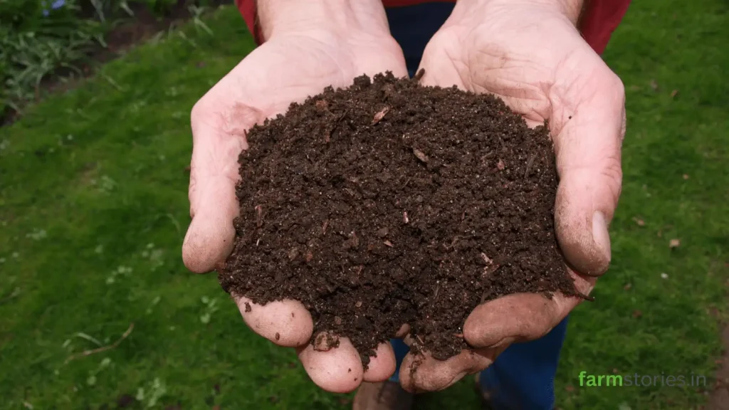 Biofertilizers improving soil fertility and plant growth in sustainable agriculture.