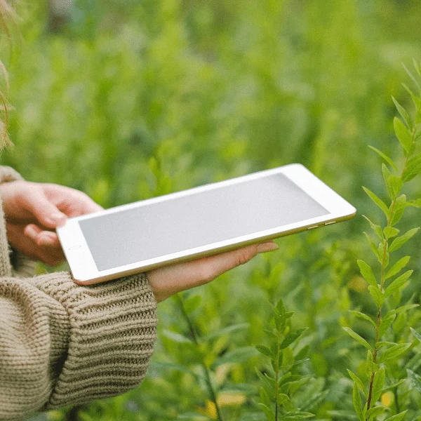 Professional exploring modern career opportunities in agriculture using a tablet in a field