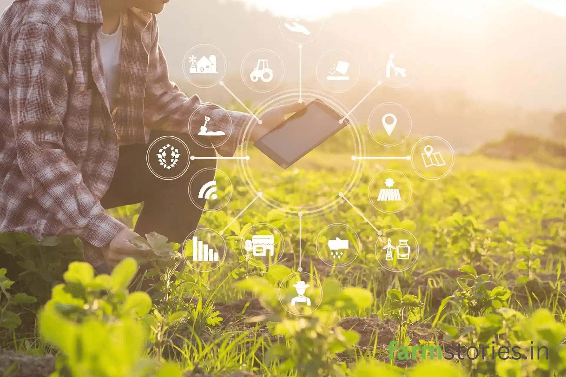 direct-to-consumer farm business