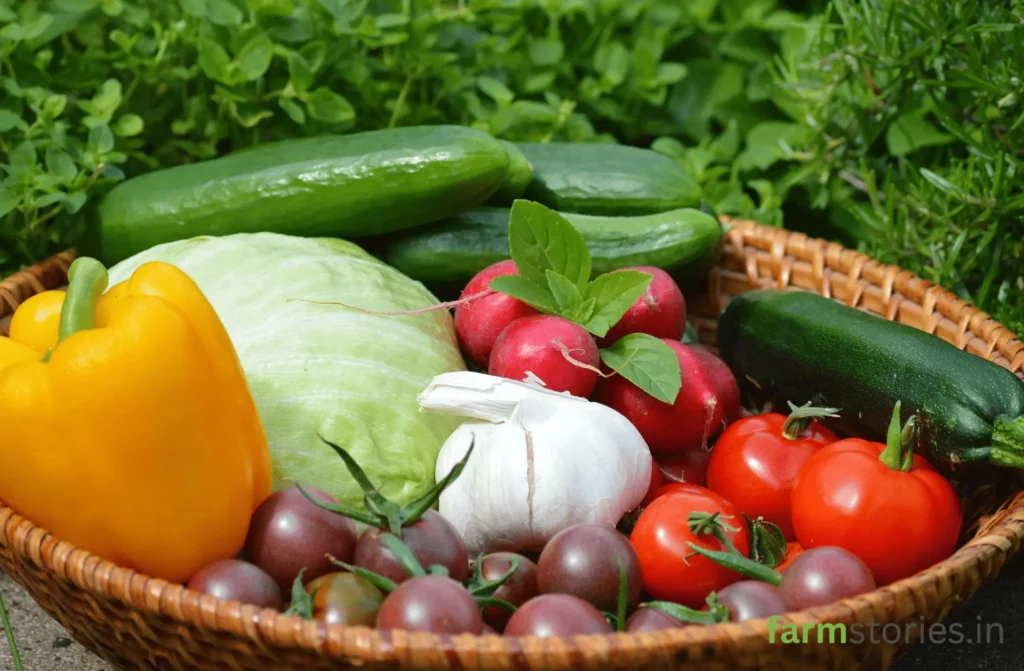 Welcome to farmStories, India’s most authentic digital platform dedicated to the art, science, and heritage of organic cultivation