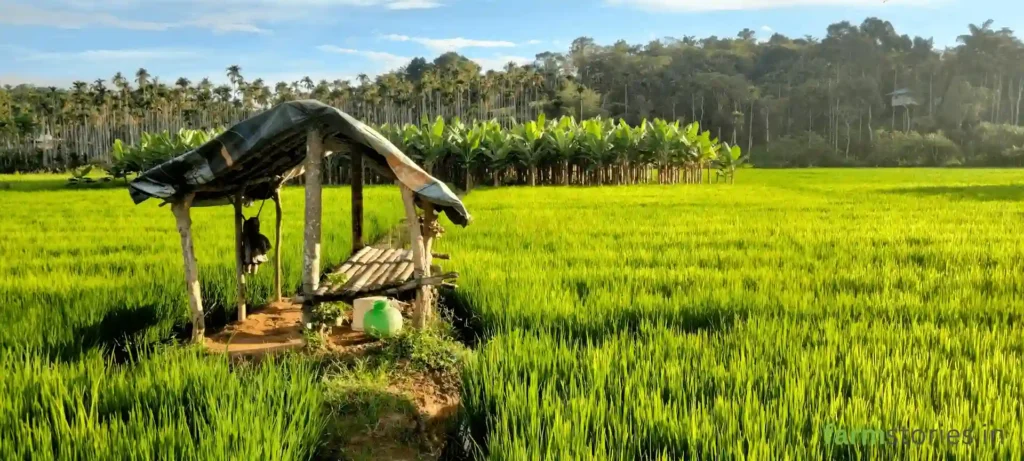 global agri-tourism business