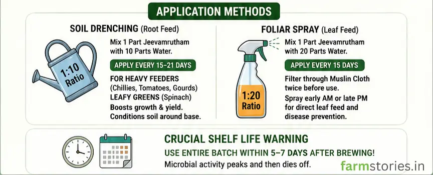 Jeevamrutham - India’s Ancient Liquid Fertilizer application and usage