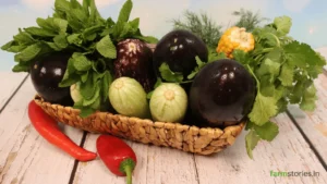 Kitchen Gardening for Beginners in India Kitchen Gardening for Beginners in India