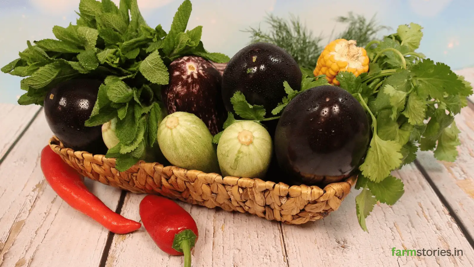 Kitchen Gardening for Beginners in India