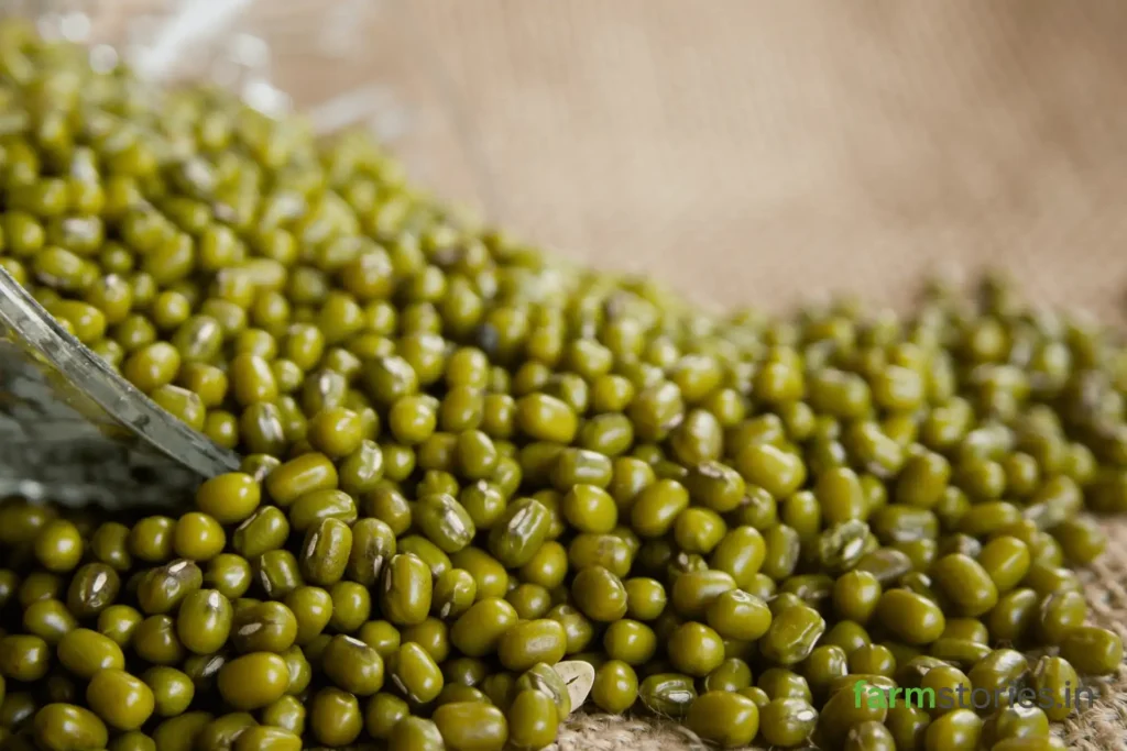low water kharif crops green gram