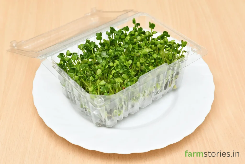 monetize kitchen garden harvest with fresh homegrown vegetables microgreens