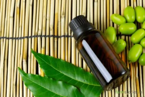 the right way to mix neem oil for plants step by step