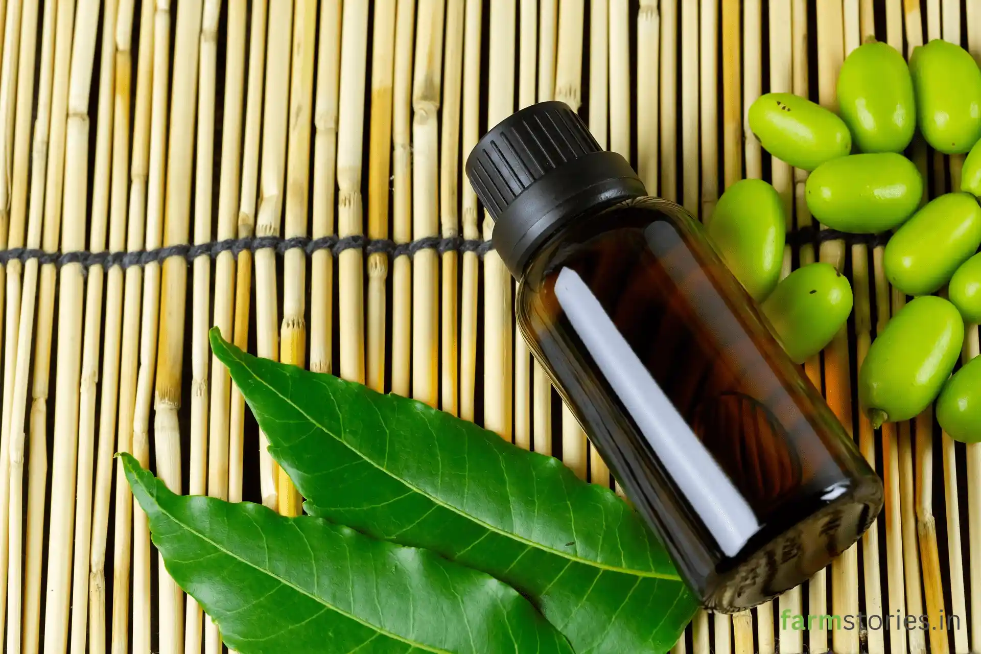 the right way to mix neem oil for plants step by step