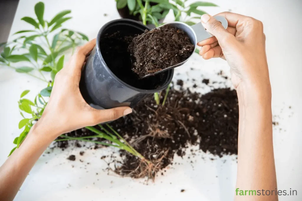 Organic N-P-K fertilizer ratios chart for container vegetable gardening.
