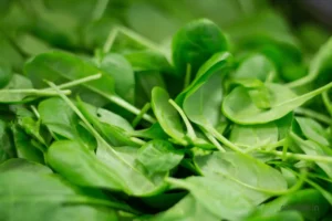 The Complete Guide to Growing Crisp Organic Spinach in Containers organic spinach collected from the kitchen garden
