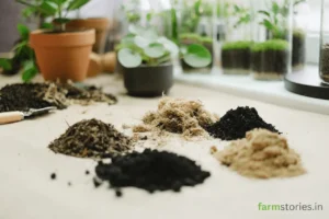 The Perfect Potting Mix: Understanding N-P-K Ratios for Container Gardening A balanced 1-1-1 perfect potting mix recipe with cocopeat, compost, and garden soil.