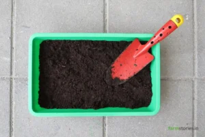 Best Phosphorus Fertilizer for Plants in India (5 Easy Organic Options for Big Harvests) best phosphorus fertilizer for plants in India