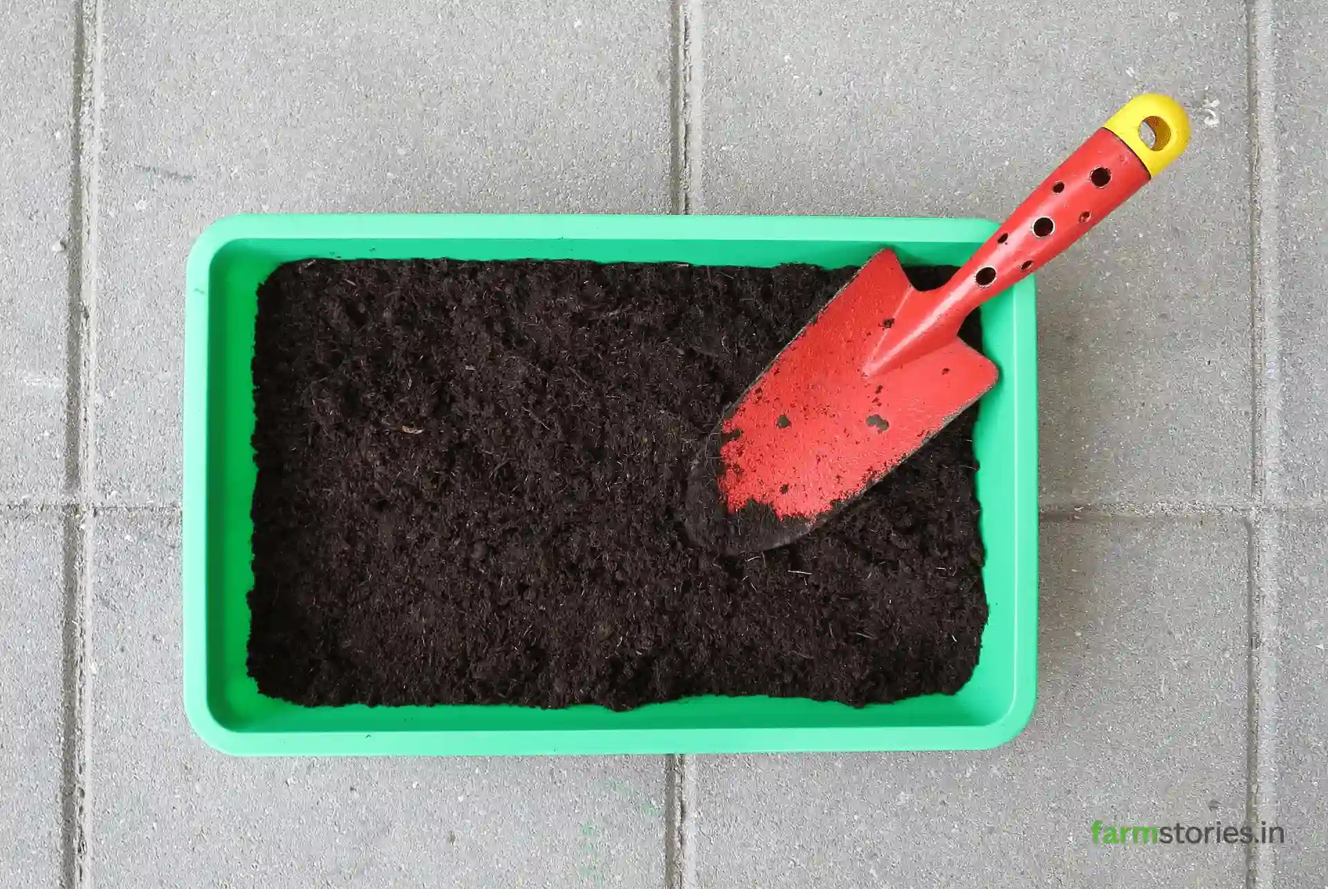 best phosphorus fertilizer for plants in India