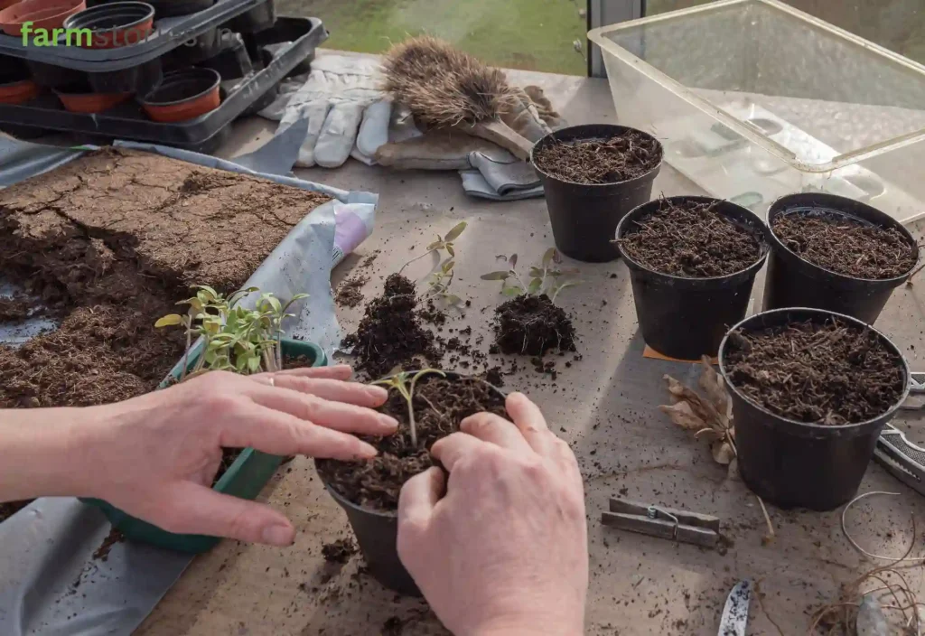 preparing potting mix step by step guide