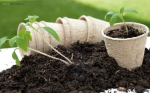 The Secret to a Productive Kitchen Garden: How to Create the Perfect Potting Mix (Step-by-Step Guide) potting mix preparation for gardening