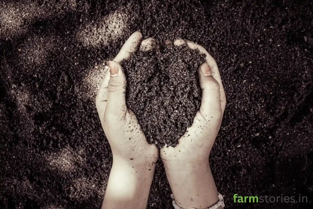 regenerative-agriculture-practices-in-india-heritage
