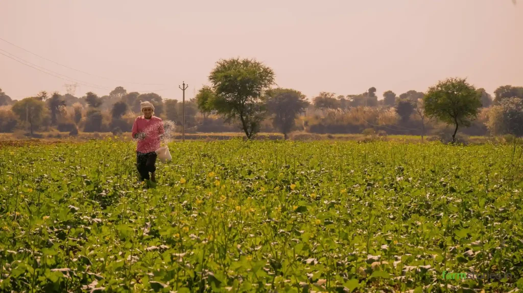 Soil health management practices for improving soil fertility naturally.