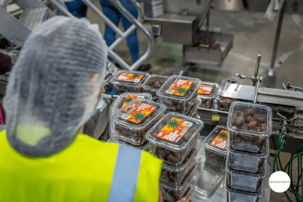 A modern food processing facility factory floor creating new South Asia agriculture jobs through automated crop sorting and packaging.