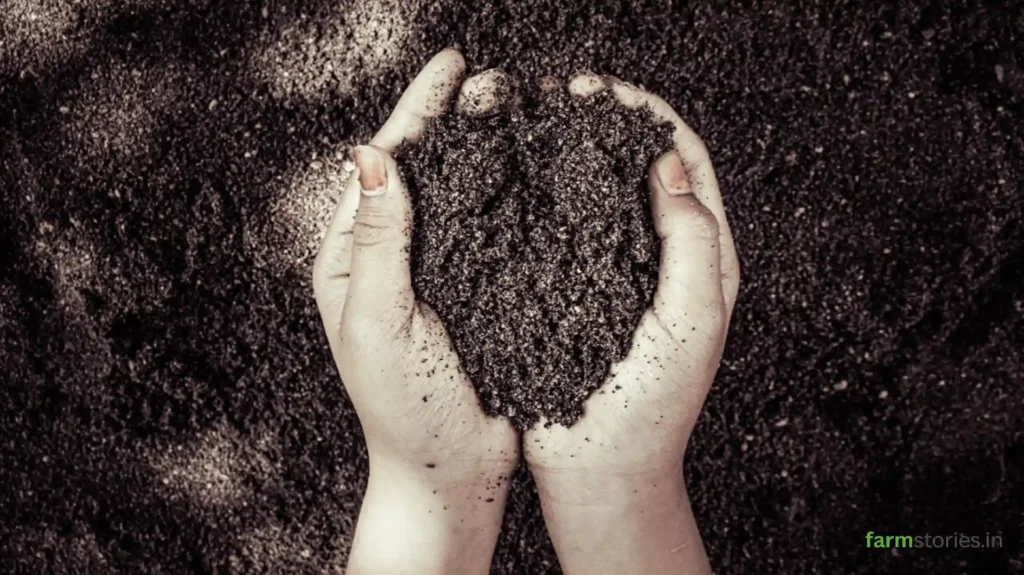 Types of organic fertilizers including compost, vermicompost, farmyard manure, neem cake, and biofertilizers.