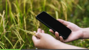 11 Indian AgriTech Startups Solving Real Challenges for Farmers Indian Agritech Startups