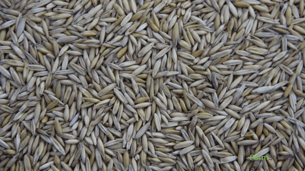 Natural Farming Scheme NMNF Scheme for farmers subsidy