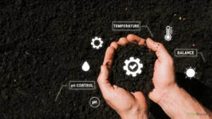 Regenerative Farming in India: A Complete Guide for Small Farmers to Improve Soil Health, Build Climate Resilience, and Increase Income Regenerative Farming In India and regenerative farming benefits