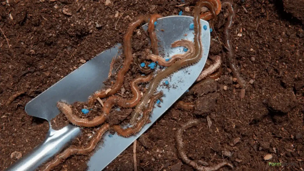 Regenerative farming benefits